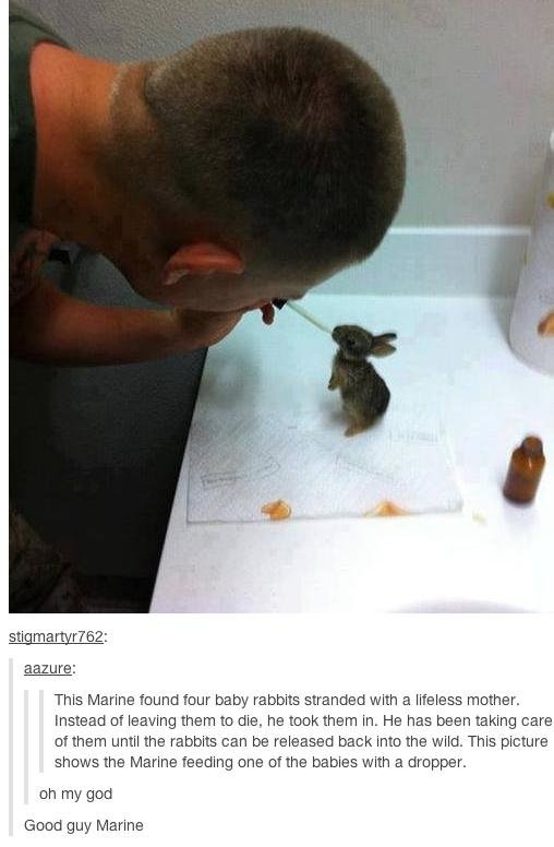 Good Guy marine Bad Place