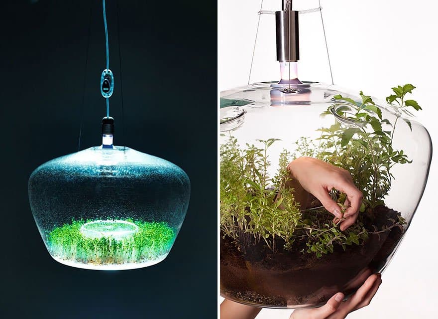 Greenhouse Lamp Creative light