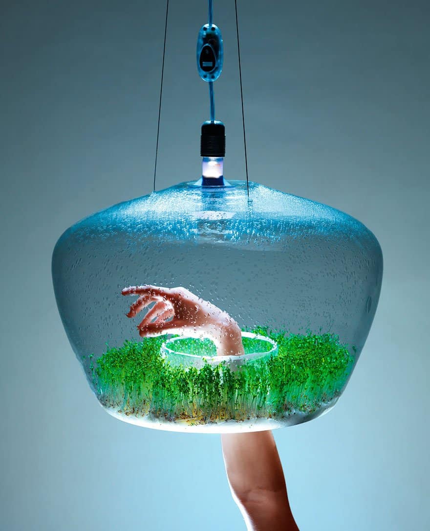 Greenhouse Lamp Creative light