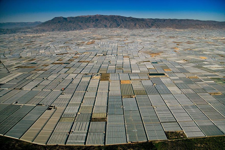 Greenhouses (Almeria - Spain) Overpopulation