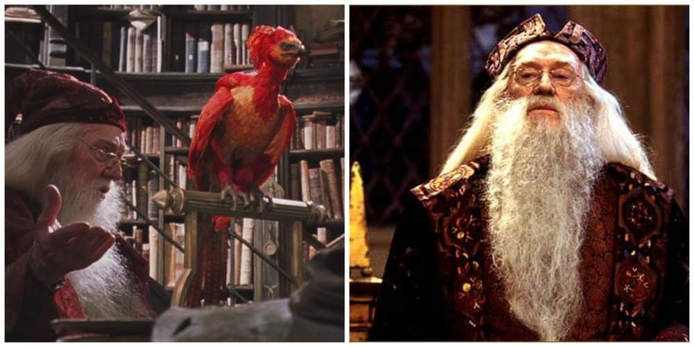 harry potter dumbeldor gay