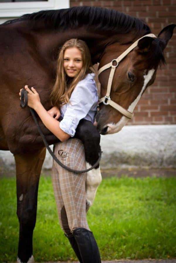 Horse Animal Hug