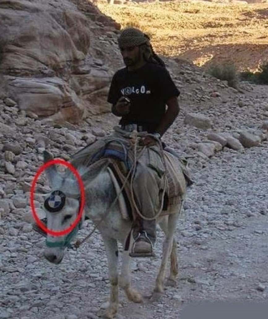 Horse Power Car 16 - BMW Donkey
