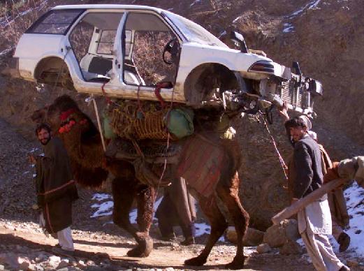Horse Powered Car 19 - Car on Camel
