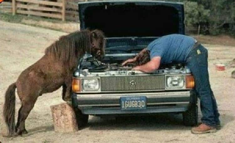 Horse Power Car 20 - Horse Help