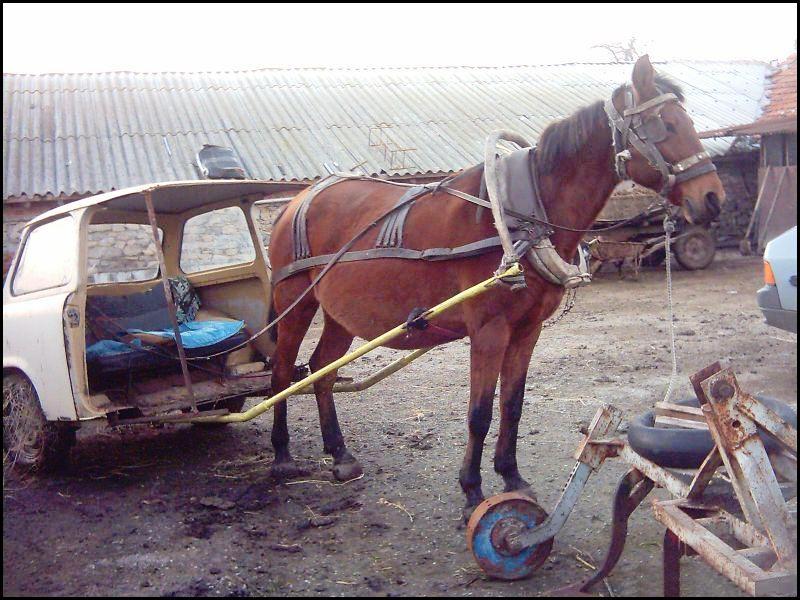 Horse Power Car 7 - Half Car