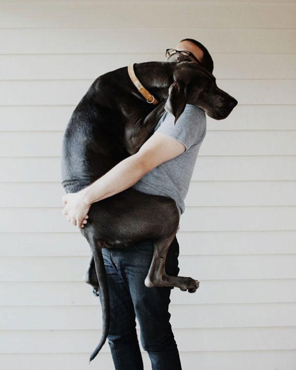 Hug like a baby Animal Hugs