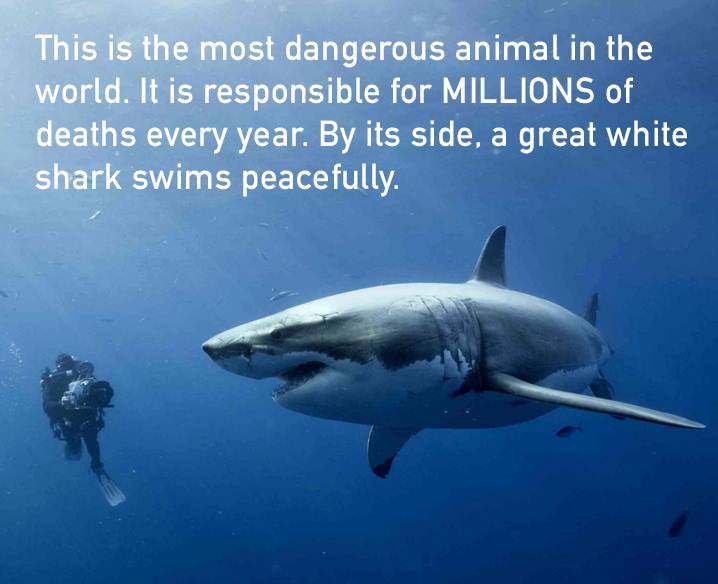 I fucking love science