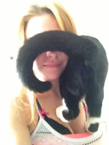I want to be this cat funny photoboms