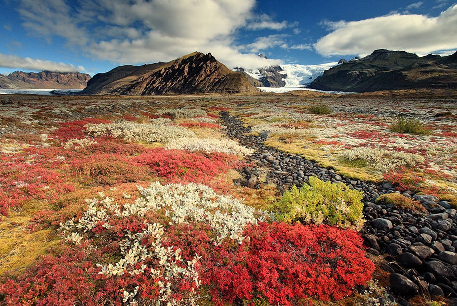 Icelands