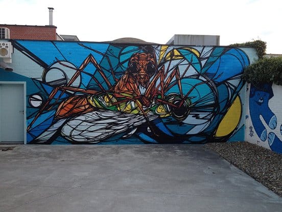 Insect Fight Animal Murals
