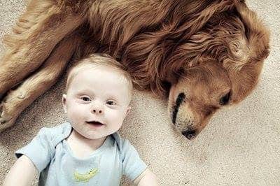 Is it a selfie Dogs and Babies