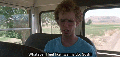 napoleon dynamite success