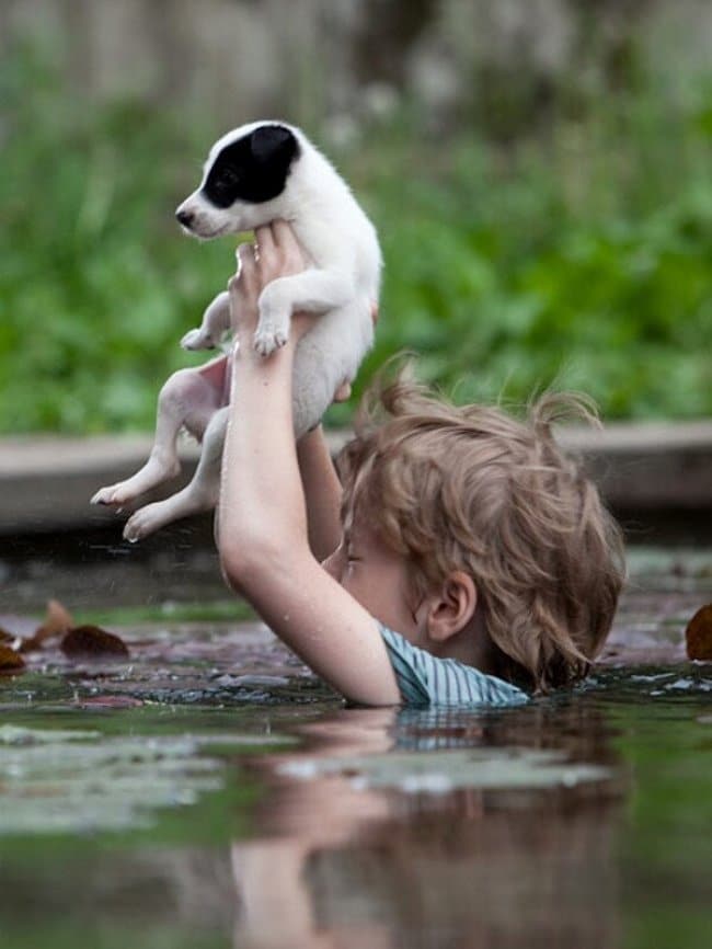 Kid teaches the way of living Popular photographs