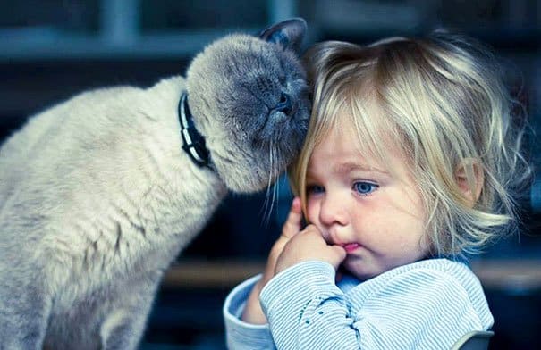 Kids & Cat