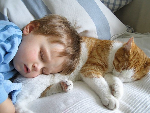 Kids & Cats