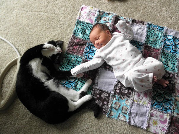 Kids & Cats