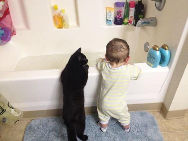 Kids & Cat