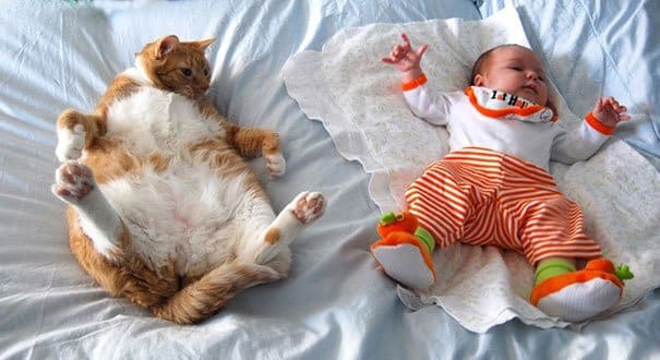 Kids & Cat
