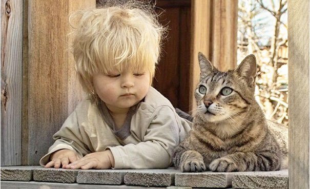 Kids & Cats