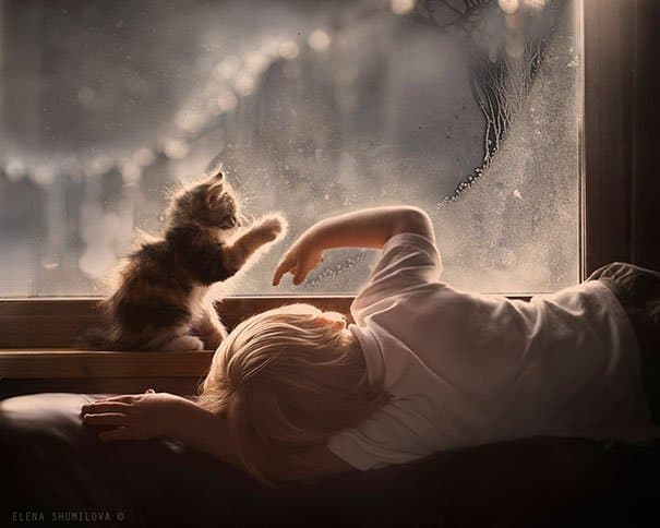 Kids & Cat
