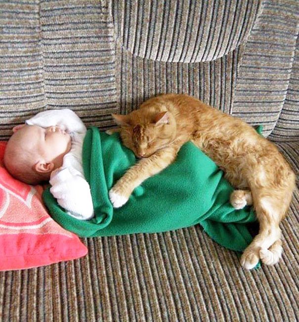 Kids & Cat