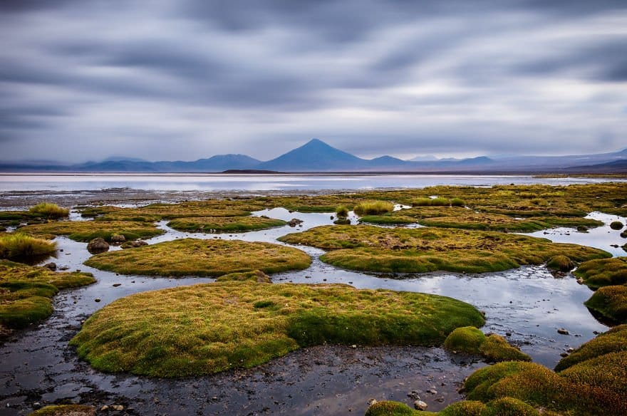 Laguna Colorada traveling Paradise