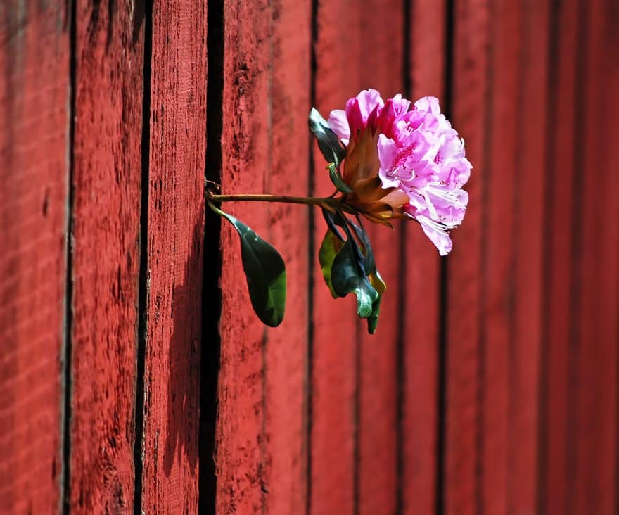 Life will find ways