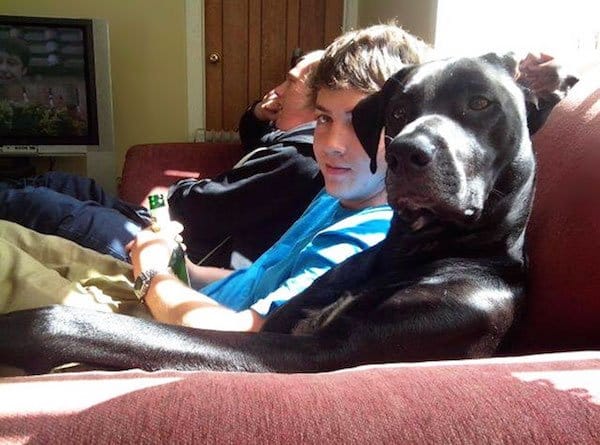 Like a boss!! Pet and Owners