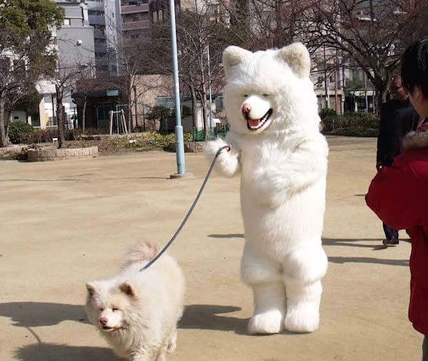 Limitless Love Pet and Owners