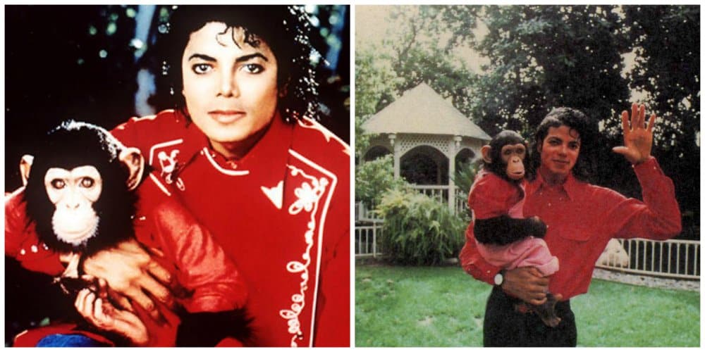 michael jackson bubbles