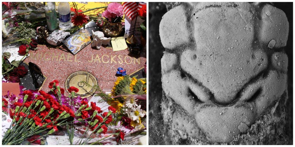 michael jackson hermit crab