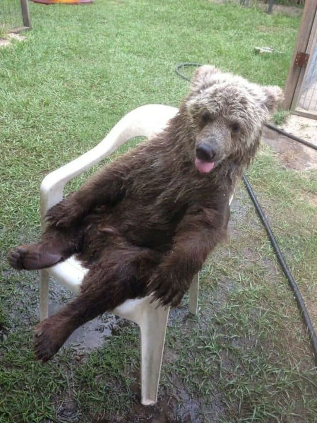 My boyfriend loves tanned skin. Bears like human