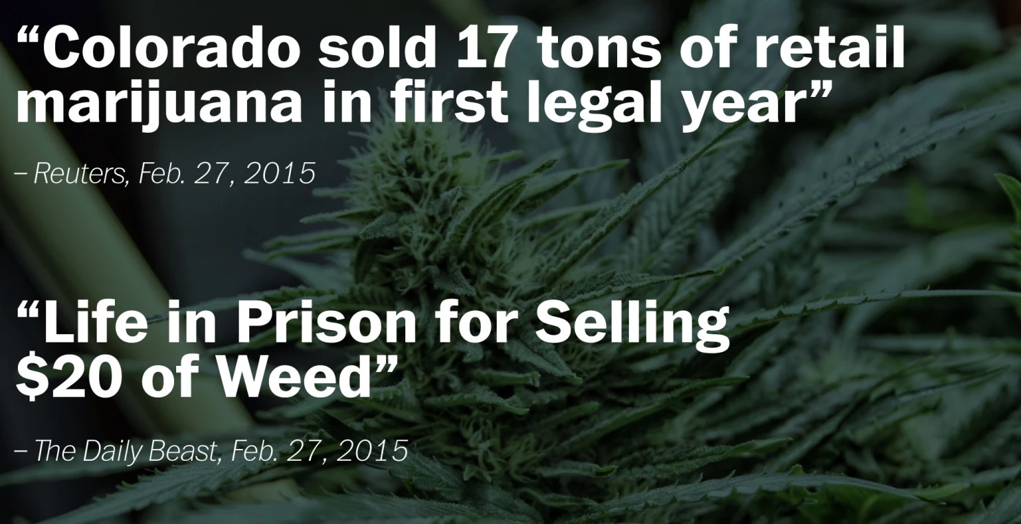 News Report American Drug Policy