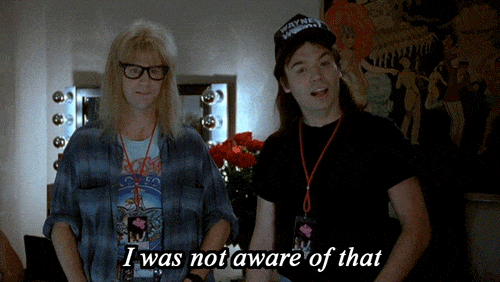 waynes world budget