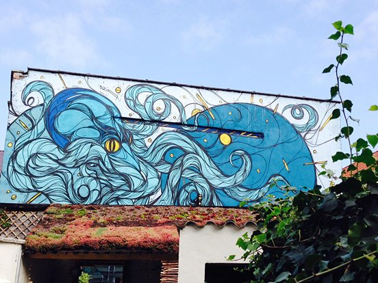 Octopus Animal Murals