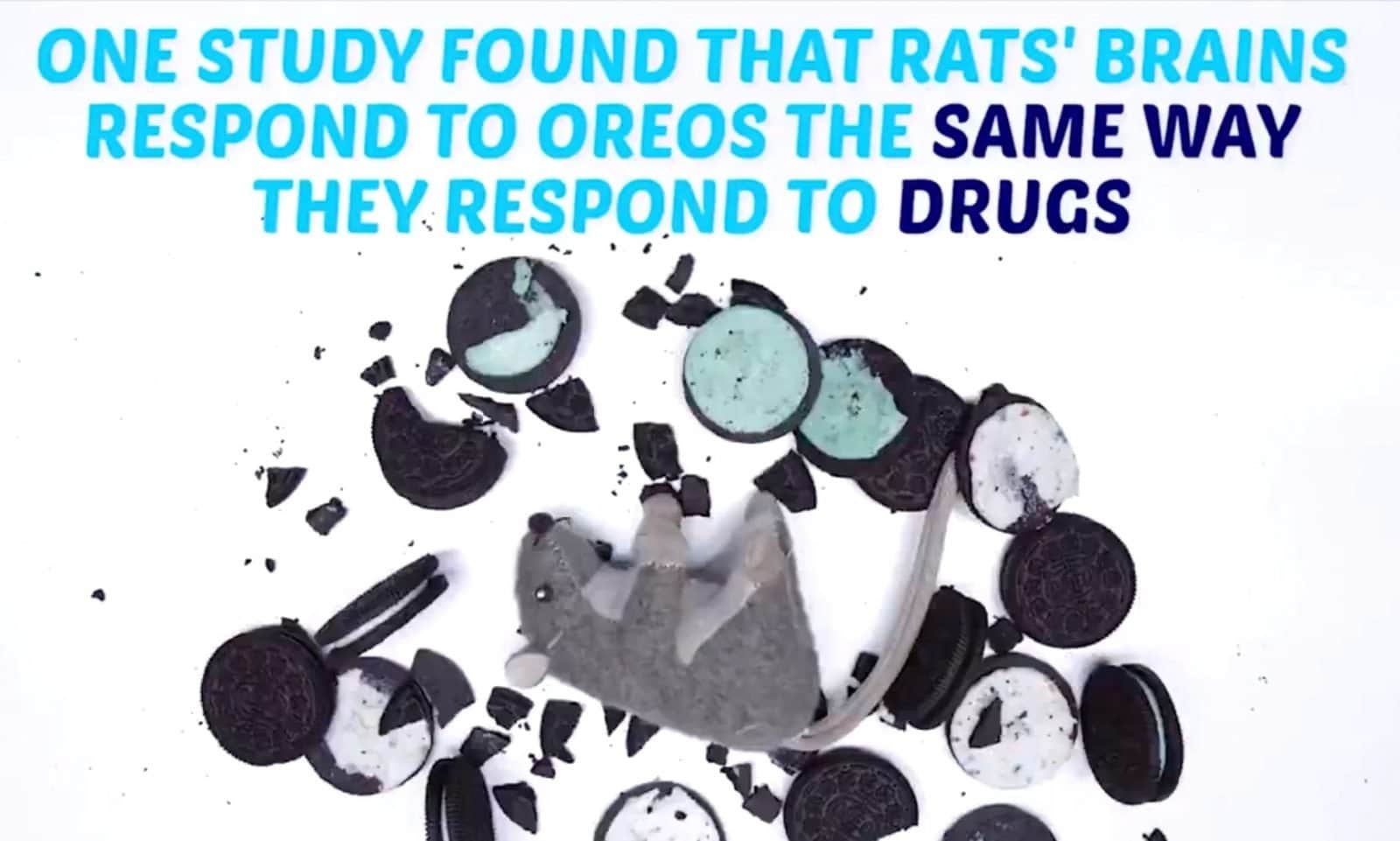 Oreos Like Drugs