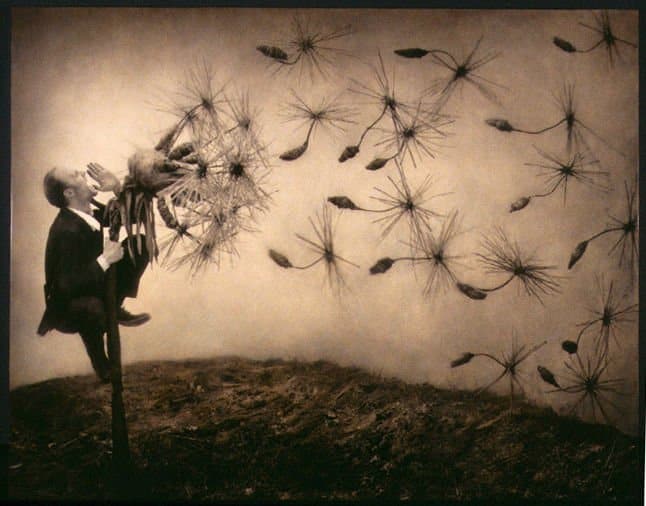 Pollination Interesting Photo
