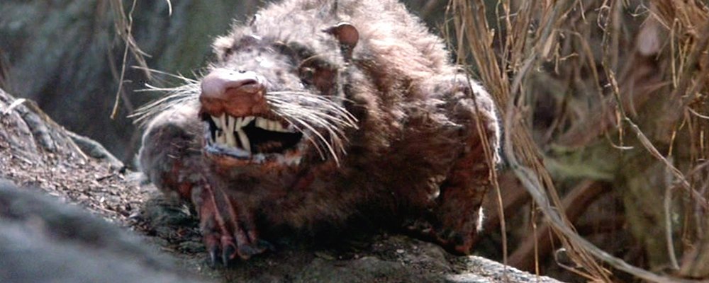 The Princess Bride Fun Facts From Behind the Scenes - ROUS