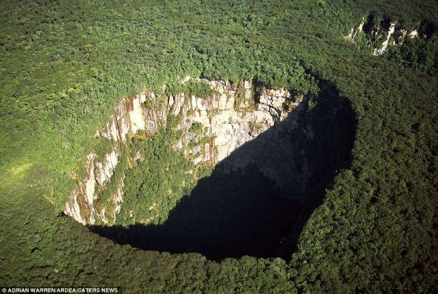 Rainforest sinkhole Travel Idea