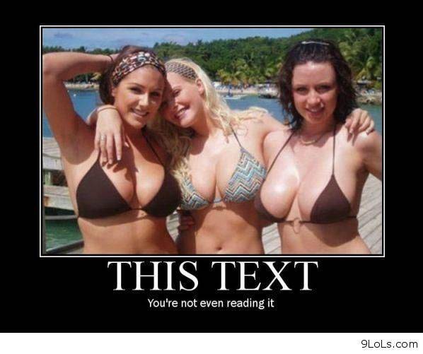 Read The Text Please Hilarious Facts