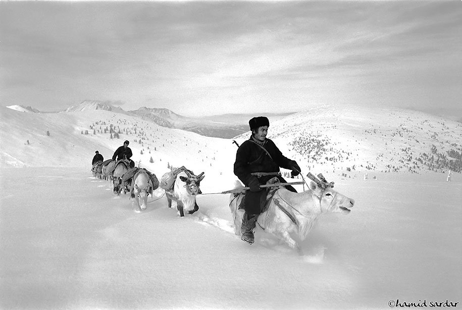 Reindeer Peoples