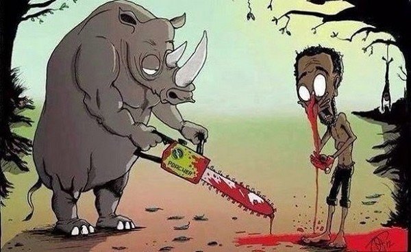 Rhino Animal Rights
