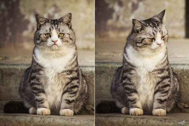 Sadness of losing Popular photographs