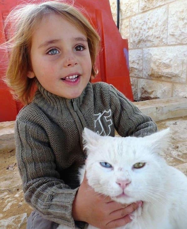 Same eyes Pet and Owners