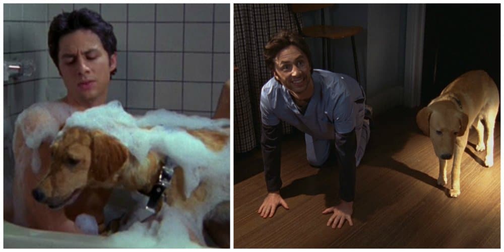 scrubs rowdy
