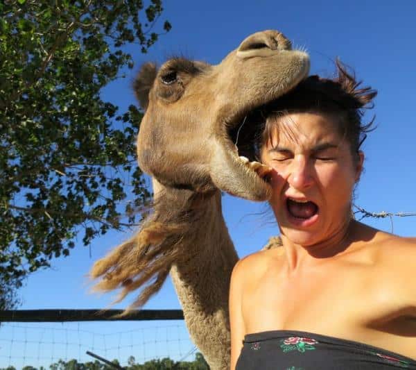 Sexy Fails