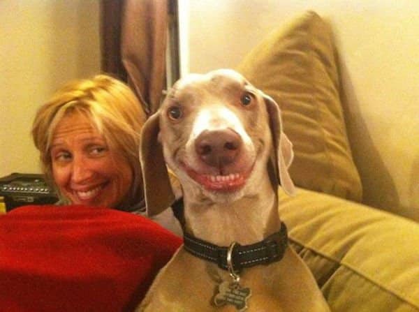 Smile Pet and Owners