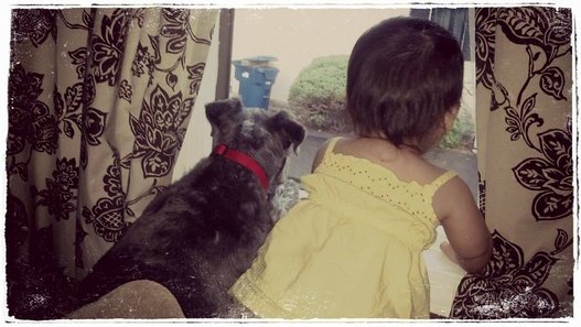 Sneaking Through The Window Baby and Dog