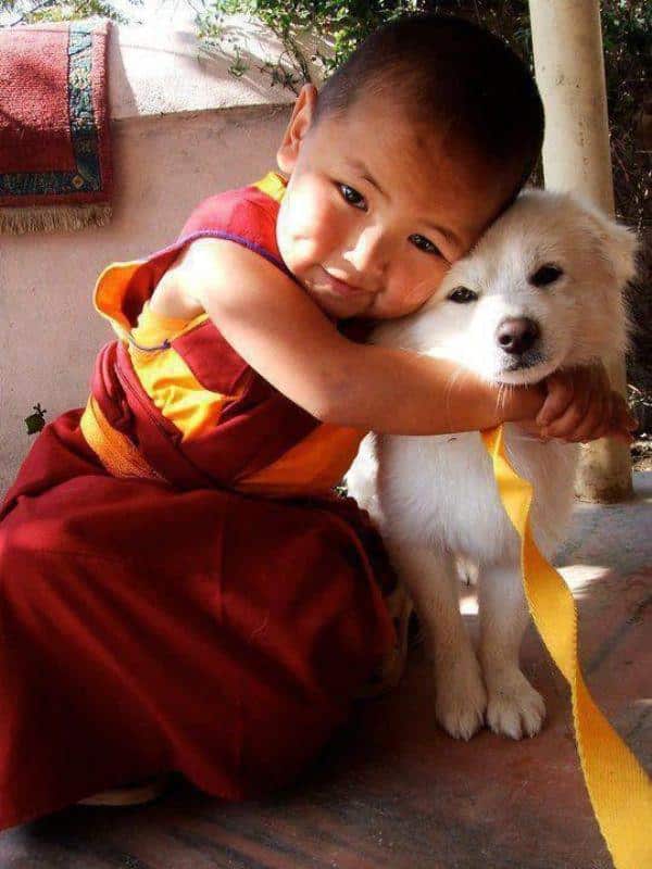 Snowy Animal Hugs